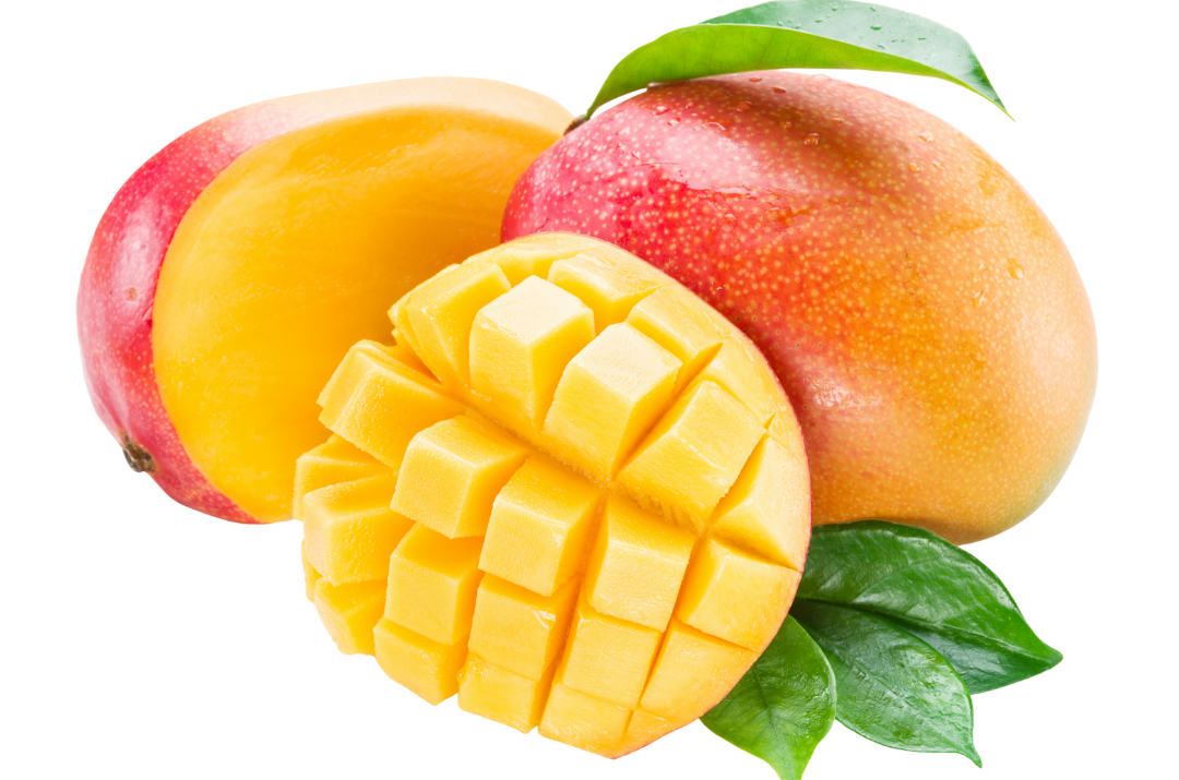 マンゴー / Mango