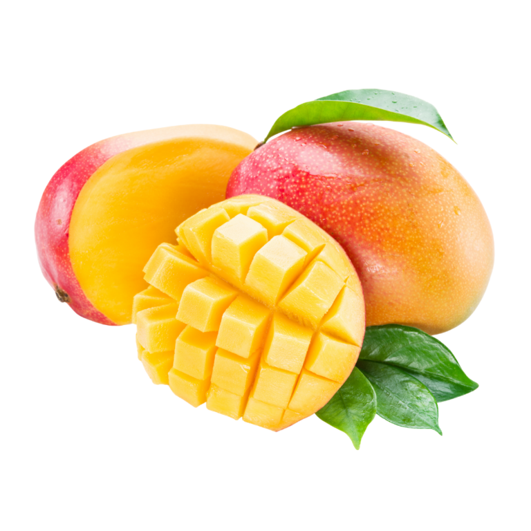 マンゴー / Mango