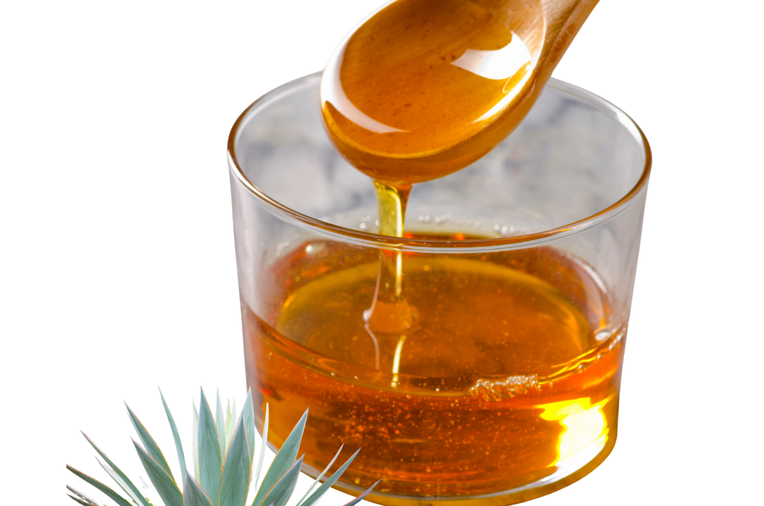 アガベシロップ / Jarabe de agave