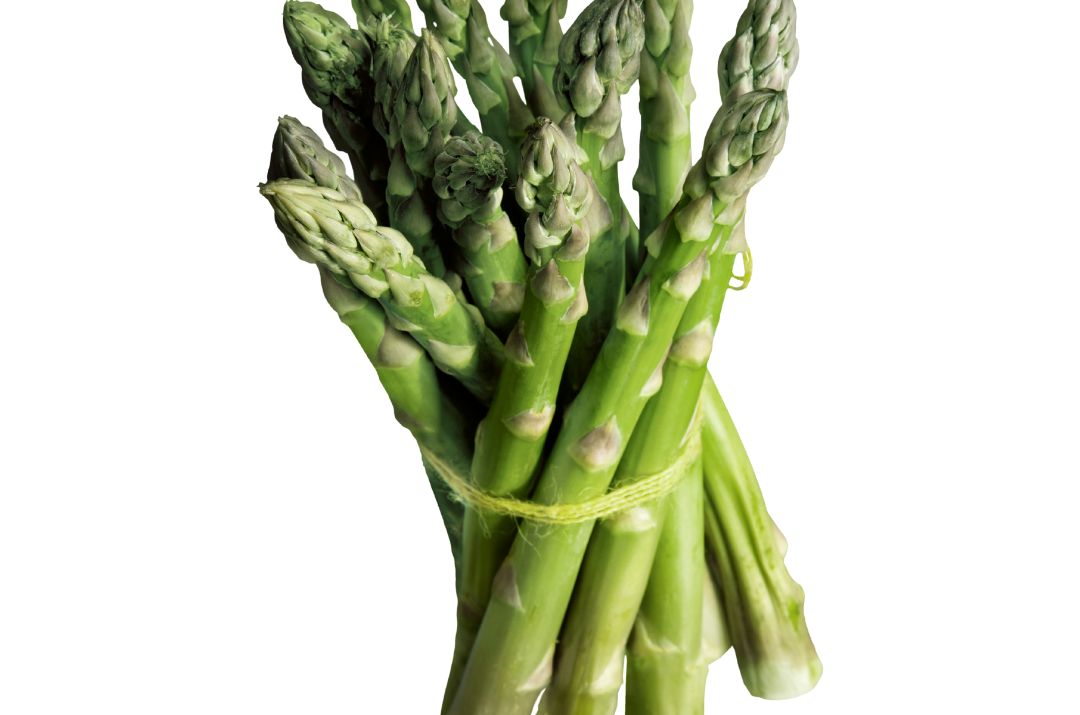 アスパラガス / Espárrago