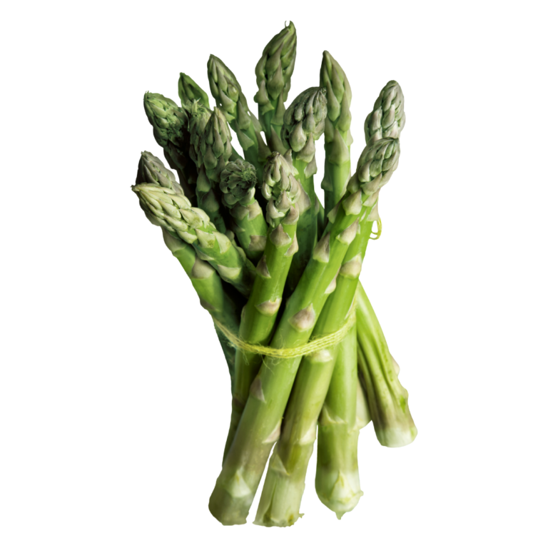 アスパラガス / Espárrago